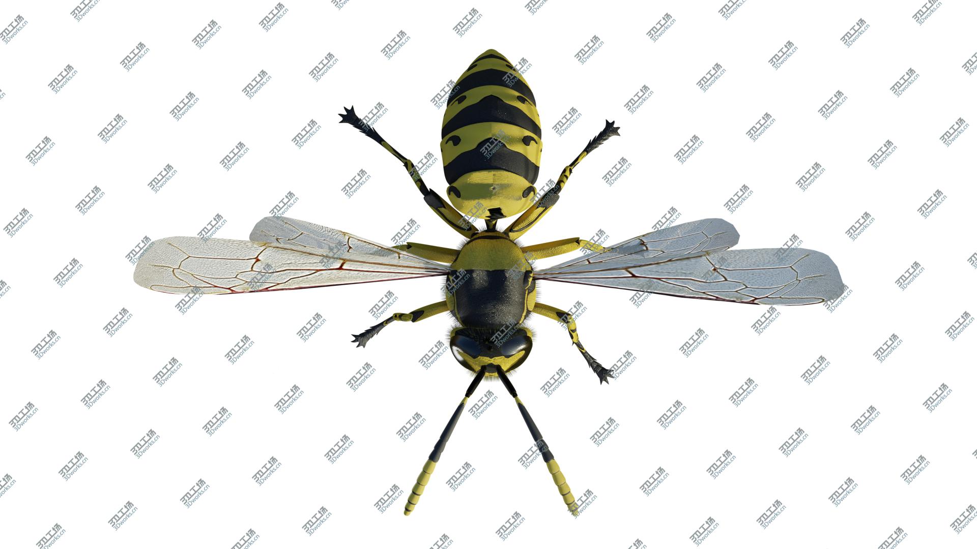 images/goods_img/2021040232/Wasp 3D/4.jpg